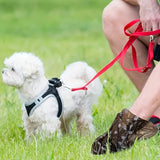 300 Count Dog Poop Bags – Leak-Proof, Thick, and Durable for Outdoor Walks – 20 Rolls, Black or Green, Polyethylene Material